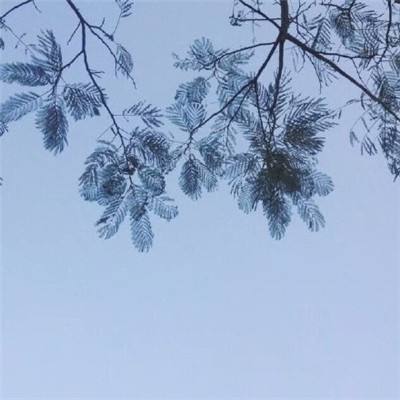 挂机吧兄弟九游版下载